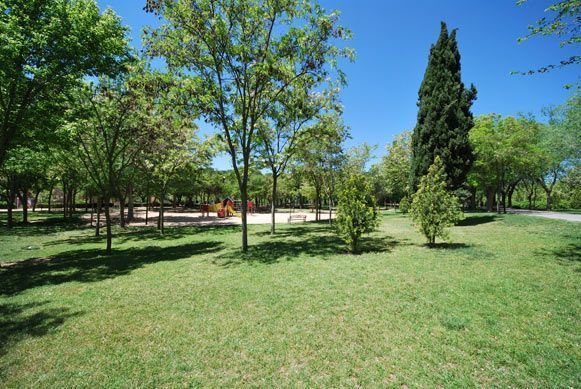 día soleado para vivir en toledo